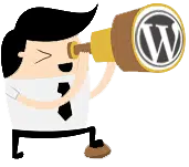 wordpress-developer