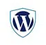 WordPress Website Security